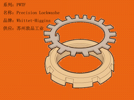 PWTF Precision Lockwasher