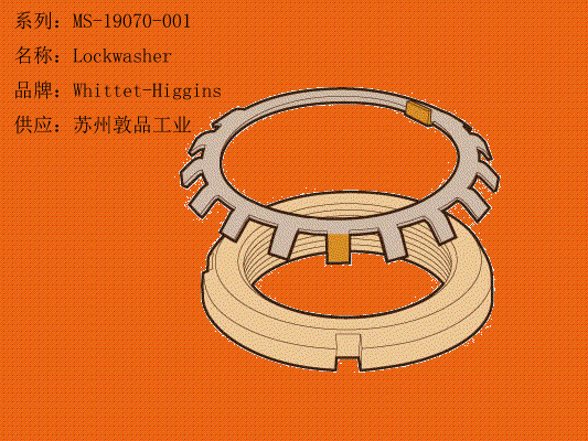 MS-19070-001 Lockwasher
