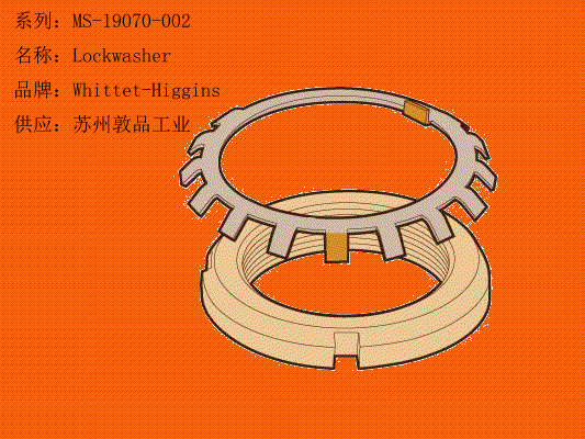 MS-19070-002 Lockwasher